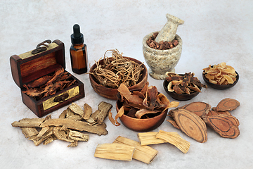 Image showing Ancient Chinese Medication with Plant Based Herbs and Spice