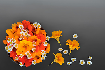 Image showing Feverfew and Nasturtium Flowers for Cold and Flu Remedy