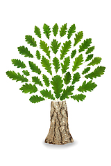 Image showing Oak Tree Abstract Go Green Eco Symbol