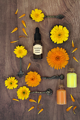 Image showing Calendula Flowers for Naturopathic Skincare  Remedies