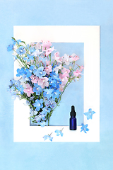 Image showing Delphinium Flower Homeopathic Herbal Medicine Background