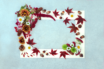 Image showing Abstract Autumn and Thanksgiving Background Frame