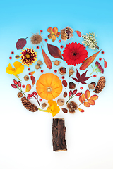 Image showing Autumn and Thanksgiving Abstract Tree Shape Concept