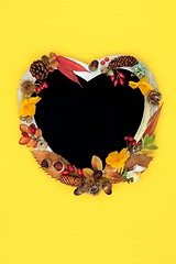 Image showing Colourful Heart Shaped Autumn Fall Floral Frame