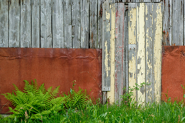 Image showing old wooden wall with rusty metal plate and green ferns