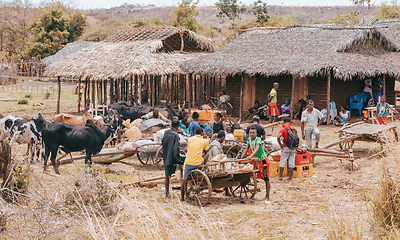 Image showing Malagasy peoples on farm in rural Madagascar