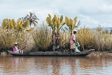 Image showing Native Malagasy fishermen fishing on river, Madagascar