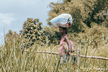 Image showing Malagasy woman carry heavy loads on head. Madagascar