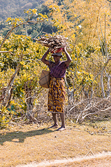 Image showing Malagasy woman carry heavy loads on head. Madagascar
