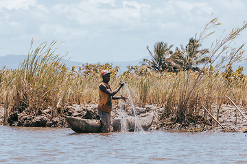 Image showing Native Malagasy fishermen fishing on river, Madagascar