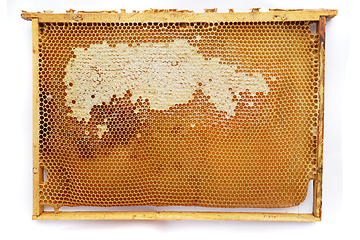 Image showing honeycomb frame isolated