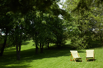 Image showing Rest chairs in the garden. Resort concept