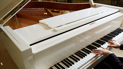 Image showing Womans hands on the keyboard of the piano closeup