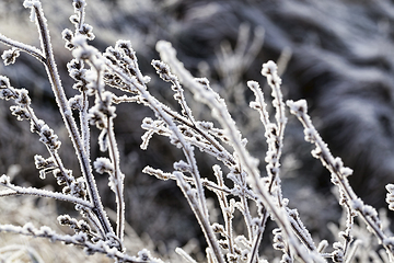 Image showing snow and ice covered grass