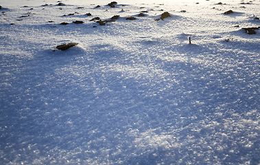 Image showing agricultural field in winter