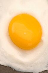 Image showing egg 521