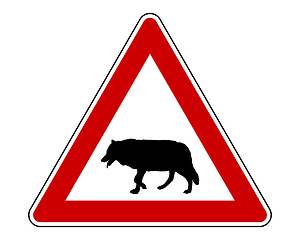 Image showing Attention sign wolf on white