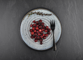 Image showing Cranberries with plate on shale