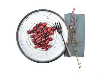 Image showing Cranberries with twig and plate on white