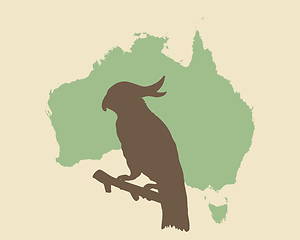 Image showing Cockatoo and Australia vintage style