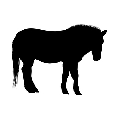 Image showing Horse Silhouette