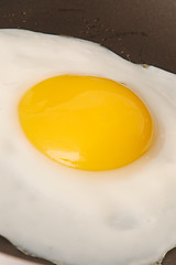 Image showing egg 534