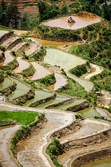 Image showing Rice field terraces. Near Sapa, Mui Ne