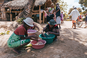 Image showing Native Malagasy women sorting catch from sea, Madagascar