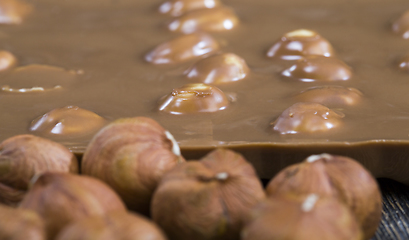 Image showing hazelnuts in chocolate