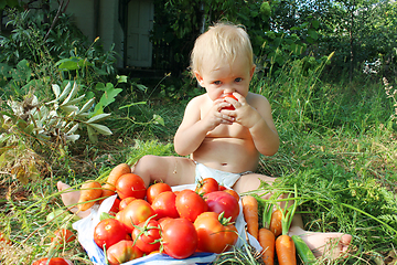 Image showing baby eats ripe tomatoes