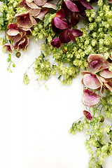 Image showing ikebana from flowers and leaves on white