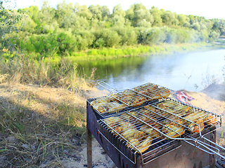 Image showing barbecue from hen's meat cooked in the nature