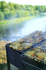 Image showing barbecue from hen's meat cooked in the nature