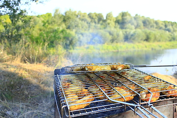 Image showing barbecue from hen's meat cooked in the nature