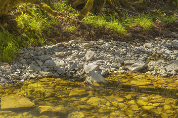 Image showing waterside scenery at spring time