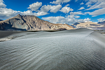 Image showing Sand dunes. Nubra valley, Ladakh, India
