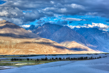 Image showing Sand dunes. Nubra valley, Ladakh, India