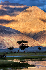 Image showing Nubra river in valley, Himalayas