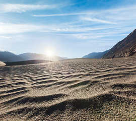 Image showing Sand dunes. Nubra valley, Ladakh, India