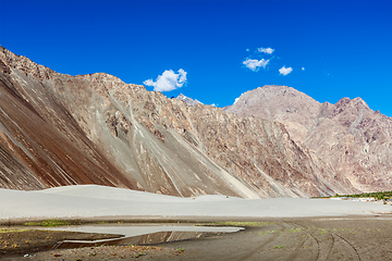 Image showing Sand dunes. Nubra valley, Ladakh, India