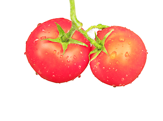 Image showing two red tomatoes isolated