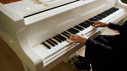 Image showing Womans hands on the keyboard of the piano closeup