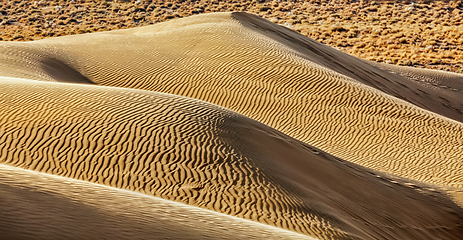 Image showing Dunes of Thar Desert, Rajasthan, India