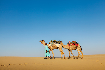 Image showing Cameleer (camel driver) with camels in Rajasthan, India