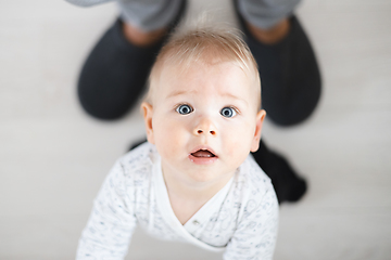 Image showing Top down view of cheerful baby boy infant taking first steps holding to father's sweatpants at home. Cute baby boy learning to walk