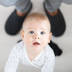 Image showing Top down view of cheerful baby boy infant taking first steps holding to father's sweatpants at home. Cute baby boy learning to walk