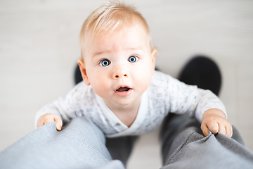 Image showing Top down view of cheerful baby boy infant taking first steps holding to father's sweatpants at home. Cute baby boy learning to walk