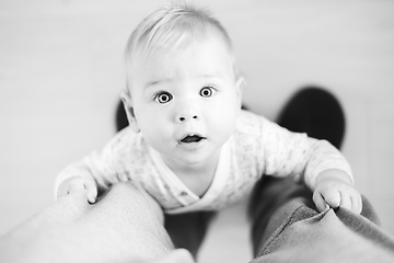 Image showing Top down view of cheerful baby boy infant taking first steps holding to father's sweatpants at home. Cute baby boy learning to walk