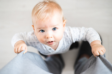 Image showing Top down view of cheerful baby boy infant taking first steps holding to father's sweatpants at home. Cute baby boy learning to walk