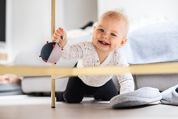 Image showing Cute infant baby boy playing with hanging ball, crawling and standing up by living room table at home. Baby activity and play center for early infant development. Baby playing at home.